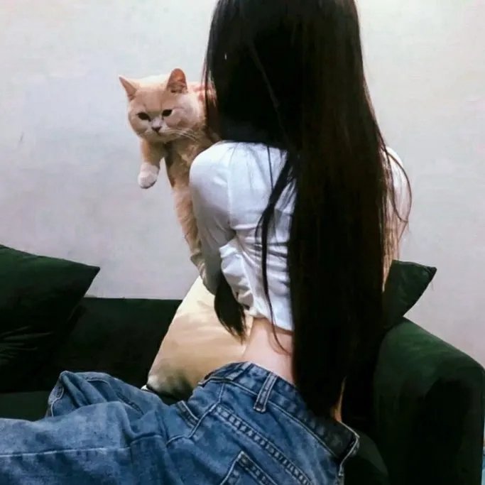 爱与梦飞翔
