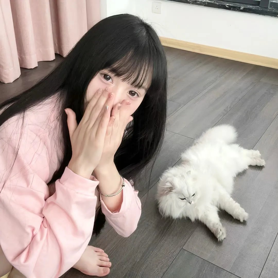 琴台春满